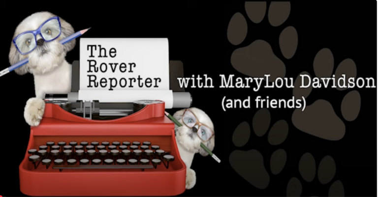 Rover Reporter Banner